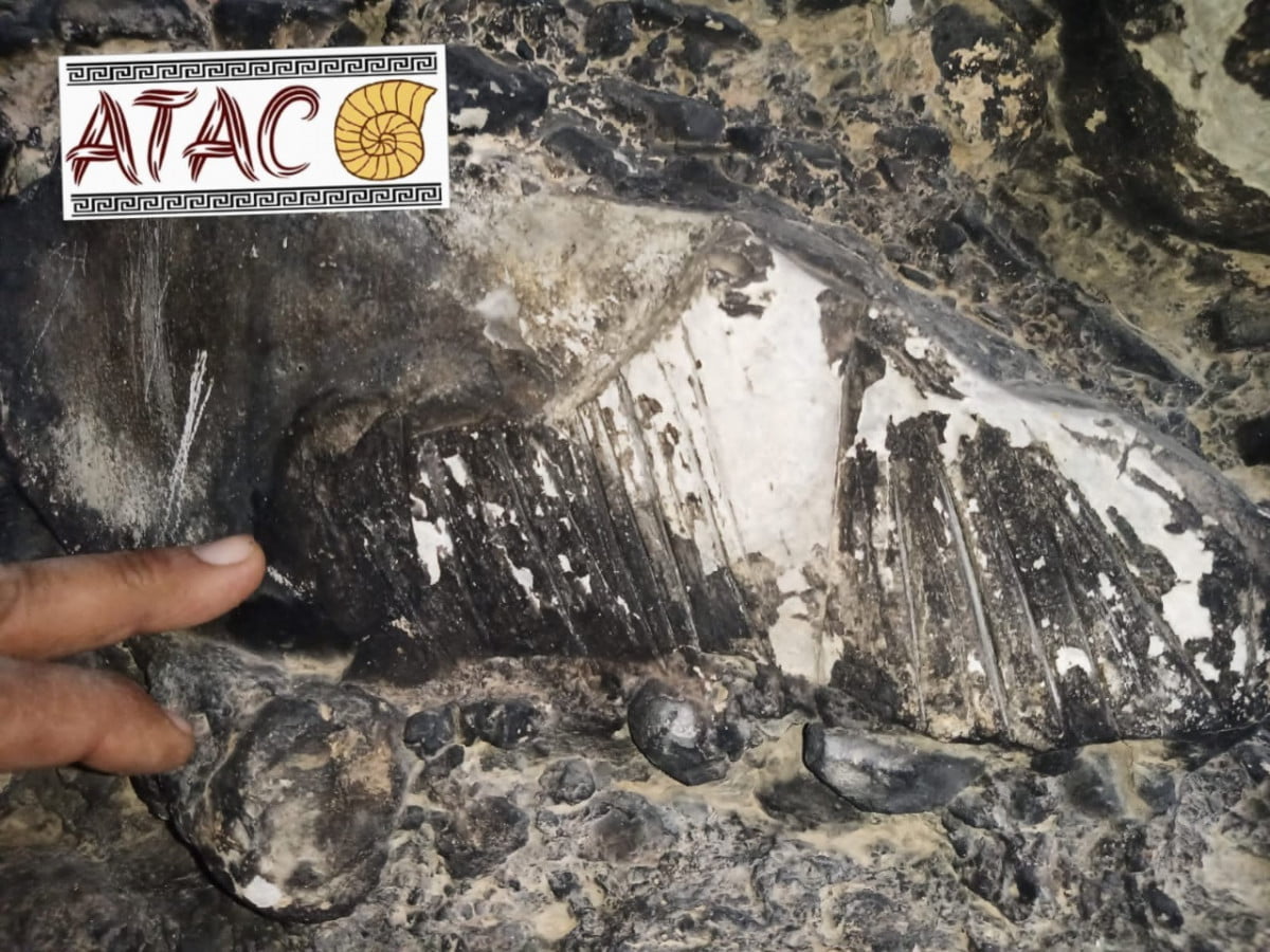 Descubren en Sierra Madre Oriental pinturas rupestres