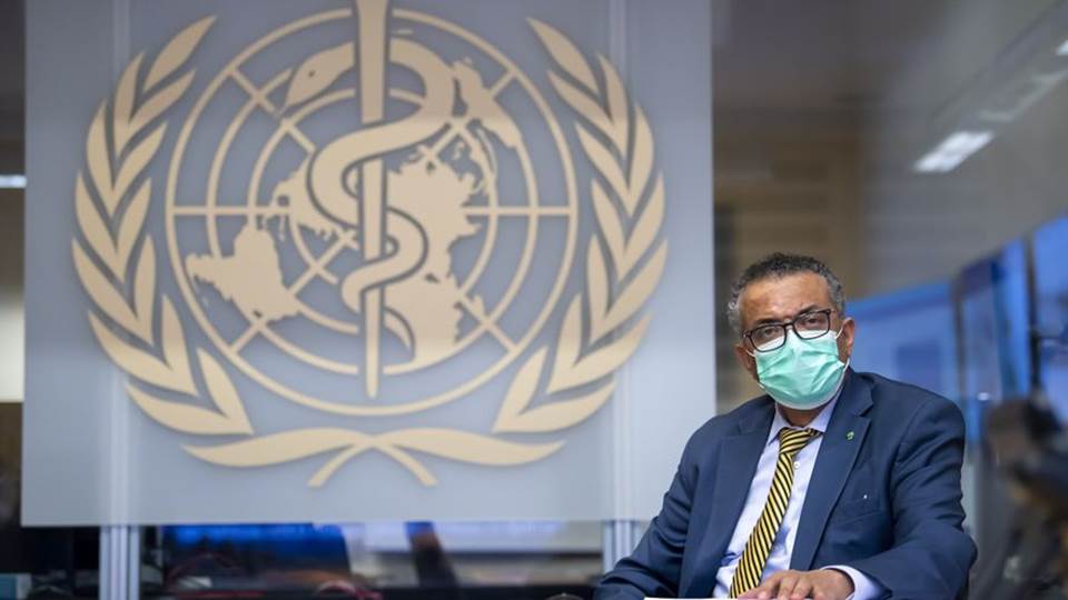 Denuncia la OMS abusos y racismo por parte de sus directivos