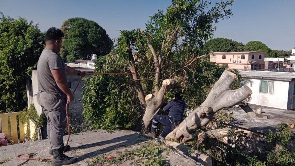 Atiende Protección Civil afectaciones por norte en colonias de Cd. Madero