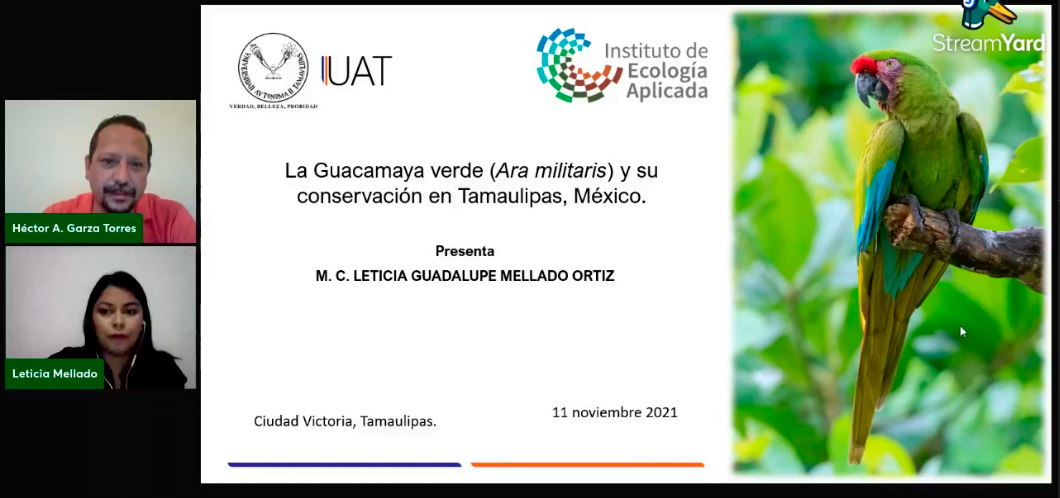 Colabora UAT en estudios para la conservación de la Guacamaya
