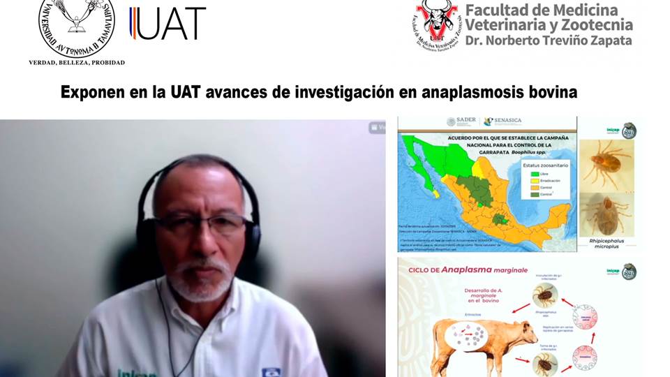 Exponen en la UAT avances de investigación en anaplasmosis bovina