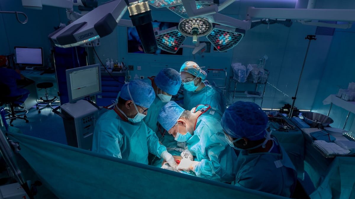 ¡Histórico! Transplantan dos riñones de cerdo a una persona