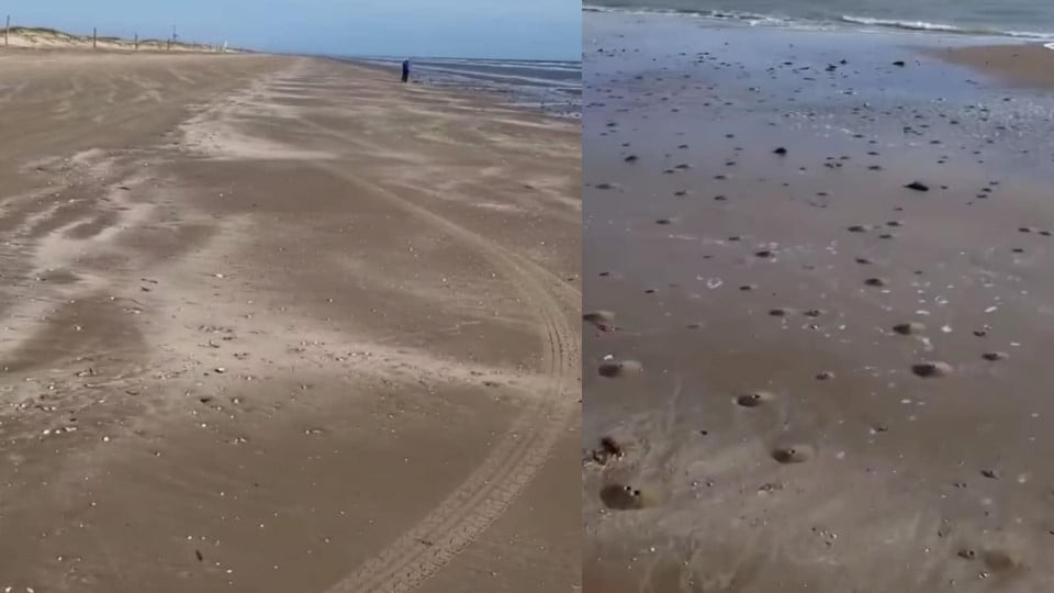 Mar se retira 20 metros en Playa Bagdad de Matamoros