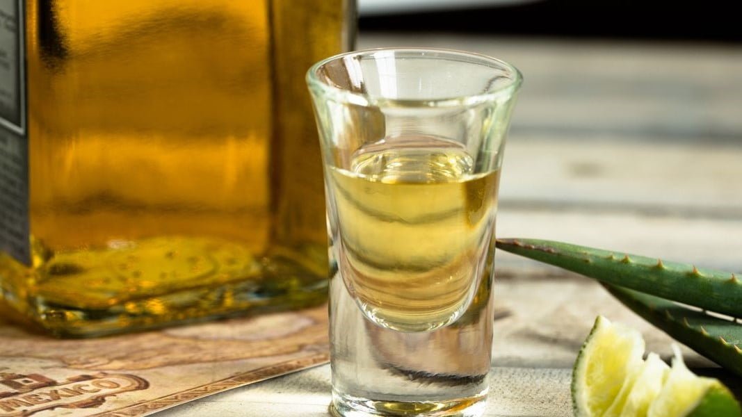 Ante la falta de apoyo, plantean crear Consejo Tamaulipeco del Tequila