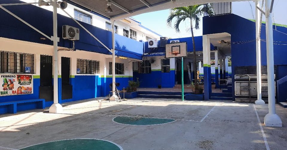 Tras reparación por árbol caído, abrirá primaria de Tampico