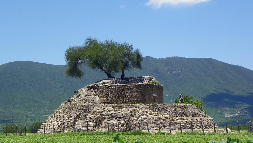 Tamaulipas destaca por tener parte del desierto mexicano ¿dónde se ubica?