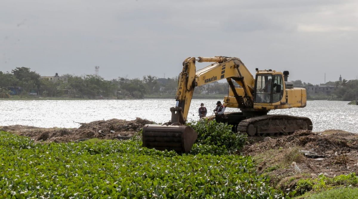 Gobierno de Ciudad Madero retira Lirio Acuático del Sistema Lagunario