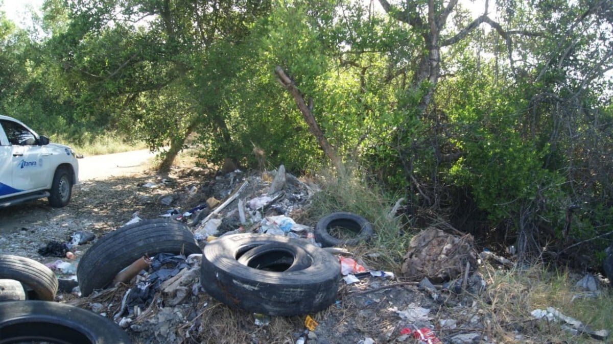Piden se aplique reglamento de Ecología en Altamira