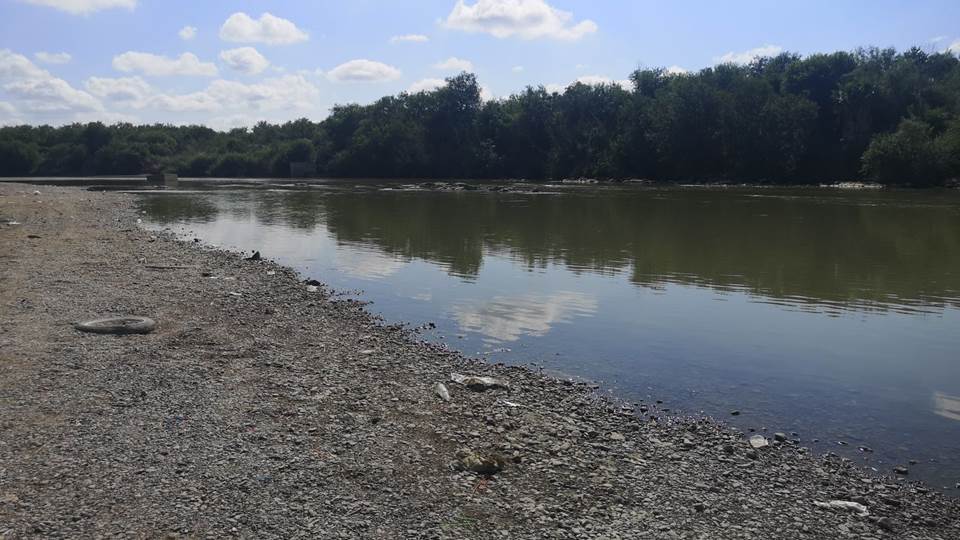 Recuperan quinta víctima del Río Bravo