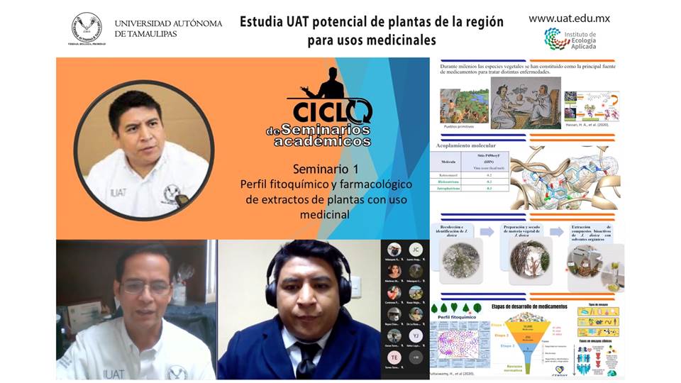 Estudia UAT el potencial farmacológico de plantas de la región para usos medicinales