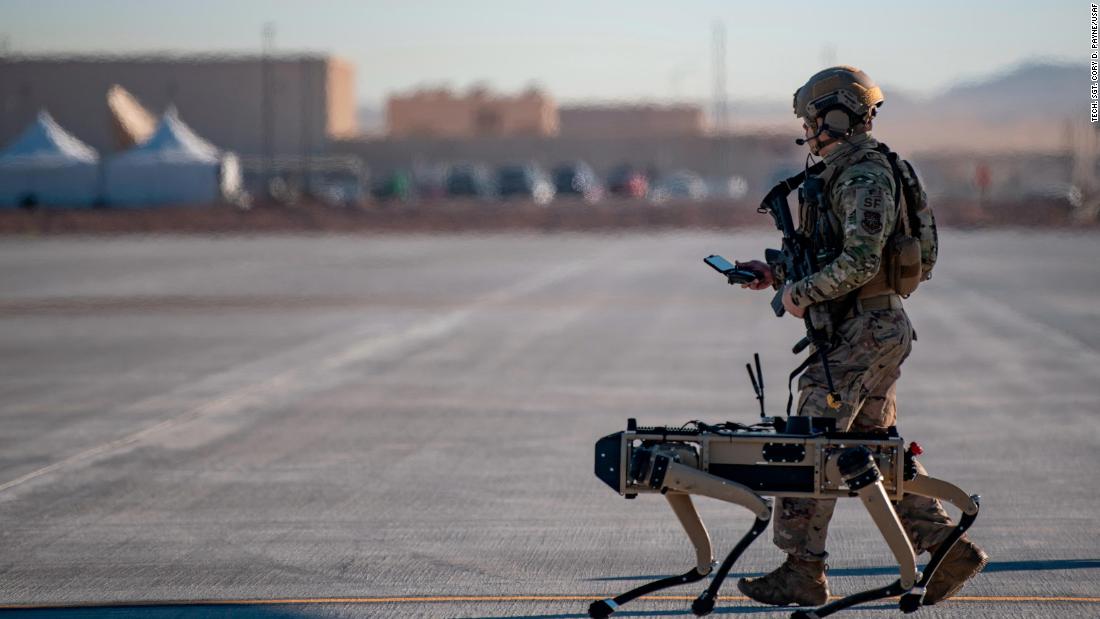 Perros robot vigilarán la frontera con México y Estados Unidos