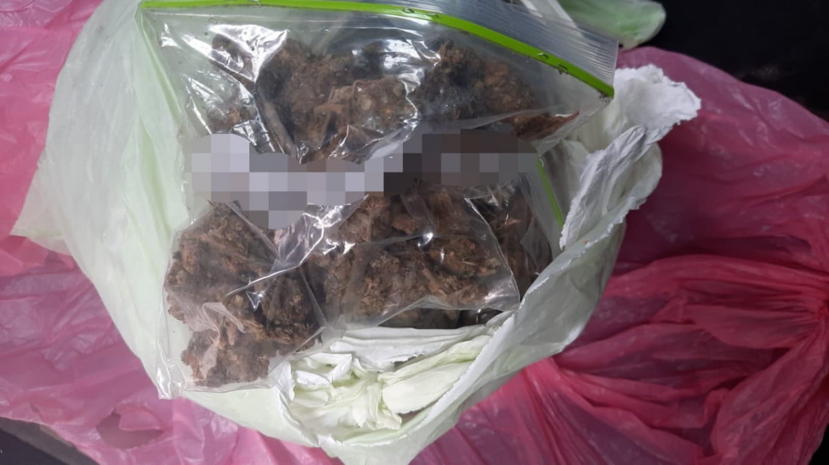Detienen en Victoria a sujeto con 14 bolsitas de presunta marihuana