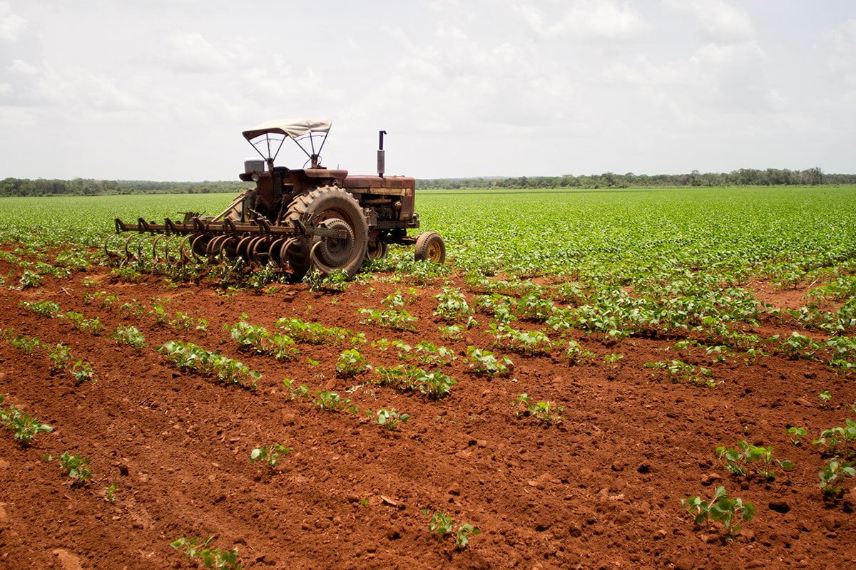 Prohíben uso de plaguicidas altamente peligrosas en México