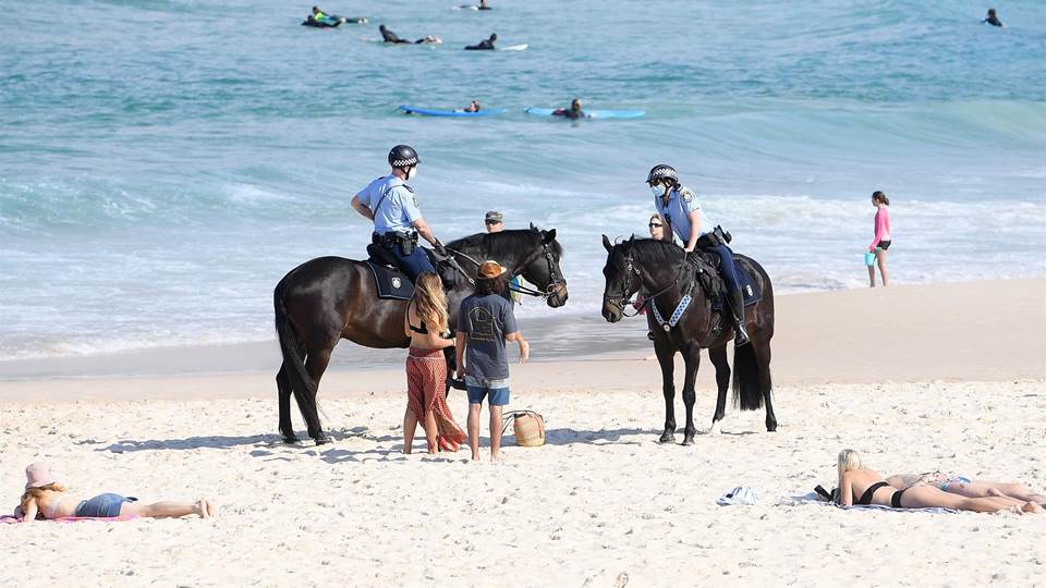 Reabren alrededor de una docena de playas en Sídney tras el primer ataque mortal de tiburón