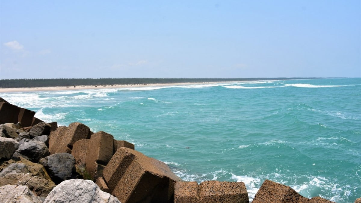 Buscan reactivar Playa Tesoro para Semana Santa