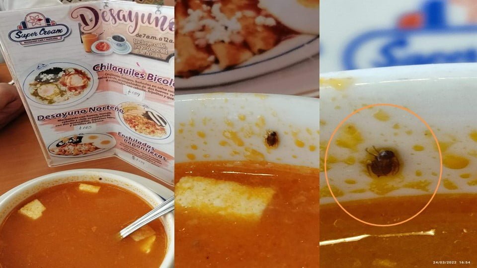 Sorprende cucaracha a cliente, luego de comer su sopa de tortilla en restaurante