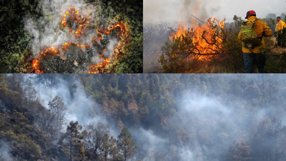 Fuertes incendios forestales se registran en Morelos, Jalisco y Tamaulipas