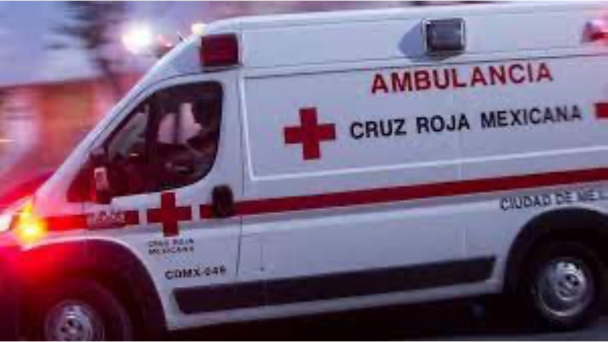 Pequeña de 1 año sufre amputación de dedos tras meter las manos en molino 
