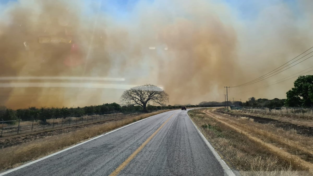 Incendio forestal consume más de 100 hectáreas en la Biosfera “El Cielo” en Tamaulipas 