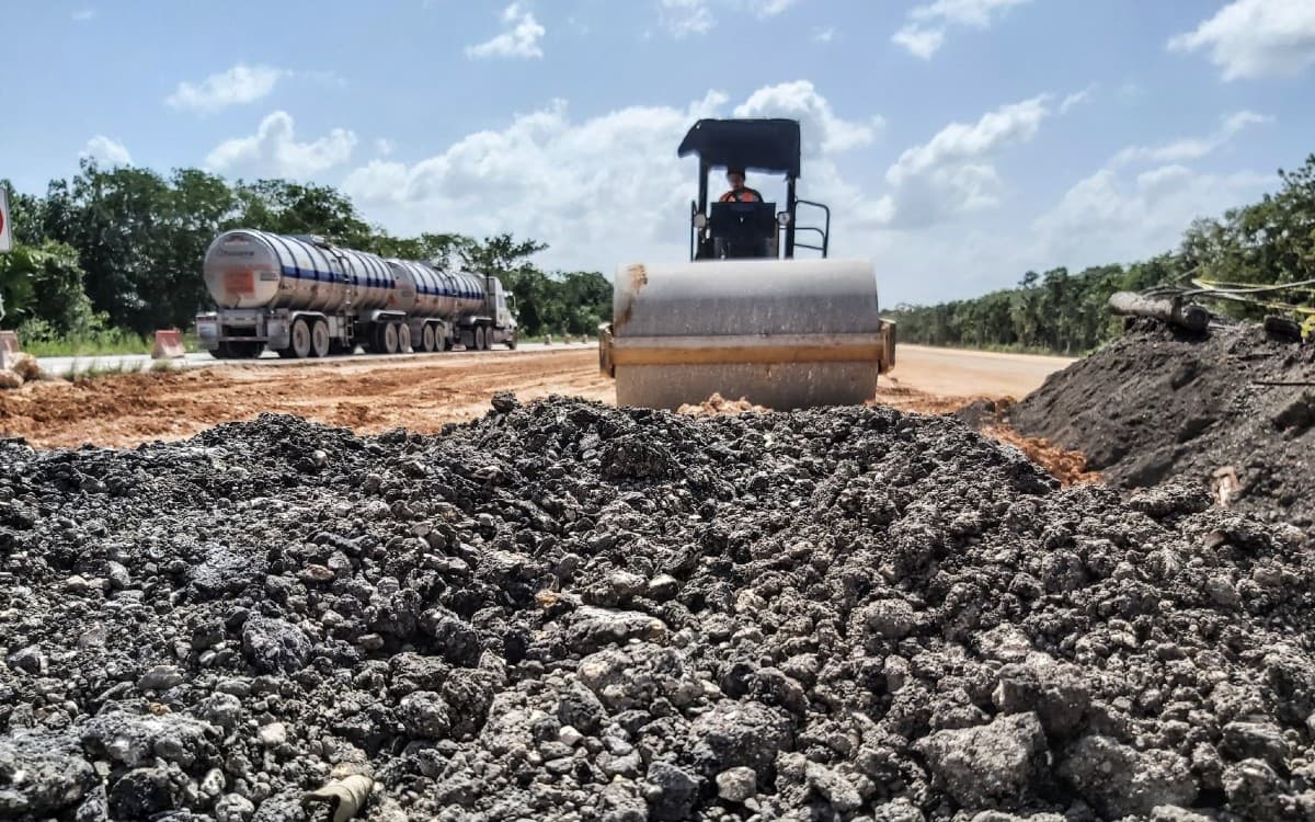 Ambientalistas denuncian tala de árboles en Playa del Carmen por el Tren Maya