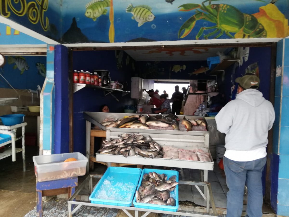 Comerciantes de pescados y mariscos remodelan sus locales, buscan evitar multas de hasta 50 mil pesos