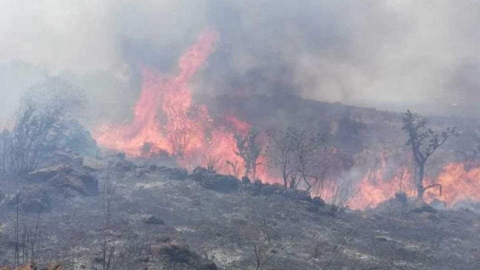 Ya son 440 las hectáreas siniestradas por incendio en “El Cielo” de Gómez Farías
