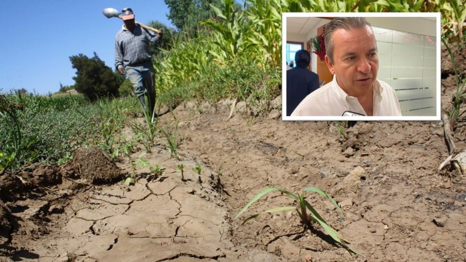 Una vergüenza indemnización de mil 500 pesos a productores de Tamaulipas: Edgar Melhem