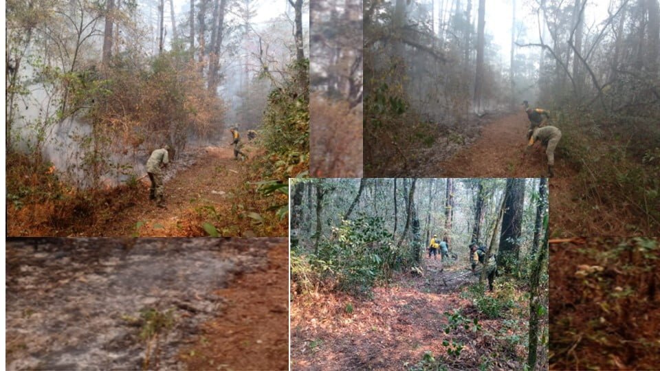 Ejército Mexicano se suman a la labor para controlar el incendio en Gómez Farías