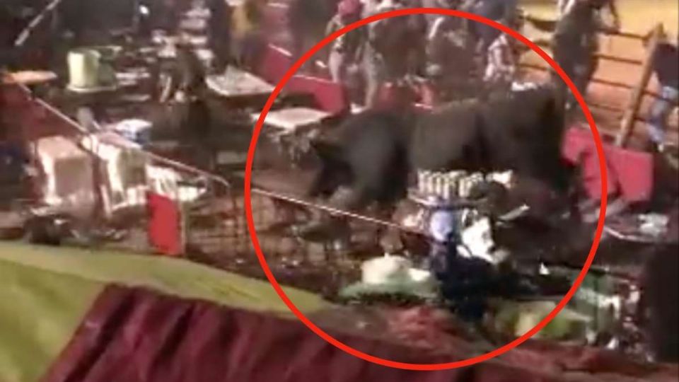 Impresionante video de toro embistiendo al público en pleno jaripeo