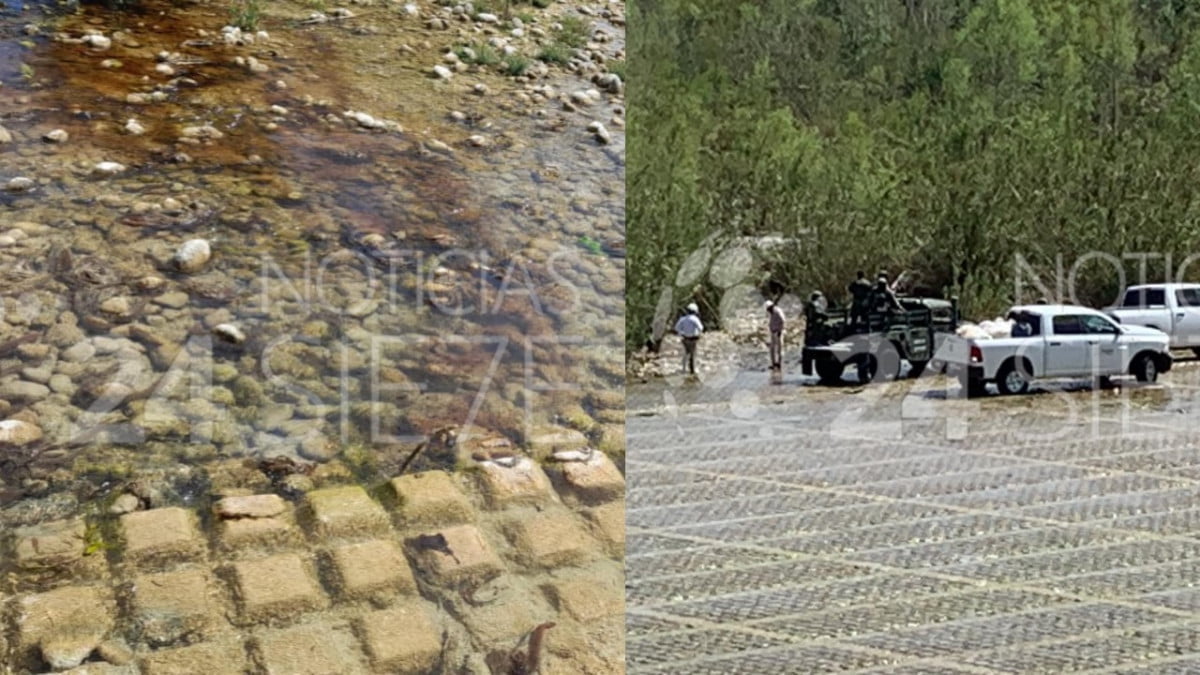 Derrame de crudo contamina río en zona citrícola de Tamaulipas