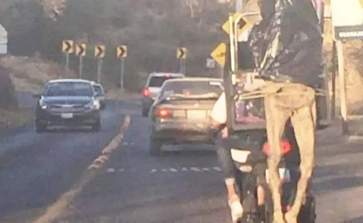Momia de Guanajuato viaja en moto y se vuelve viral