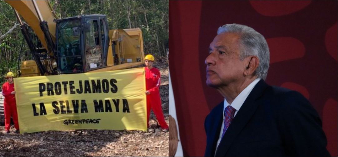 López Obrador arremete de nuevo contra ambientalistas y famosos que criticaron el Tren Maya