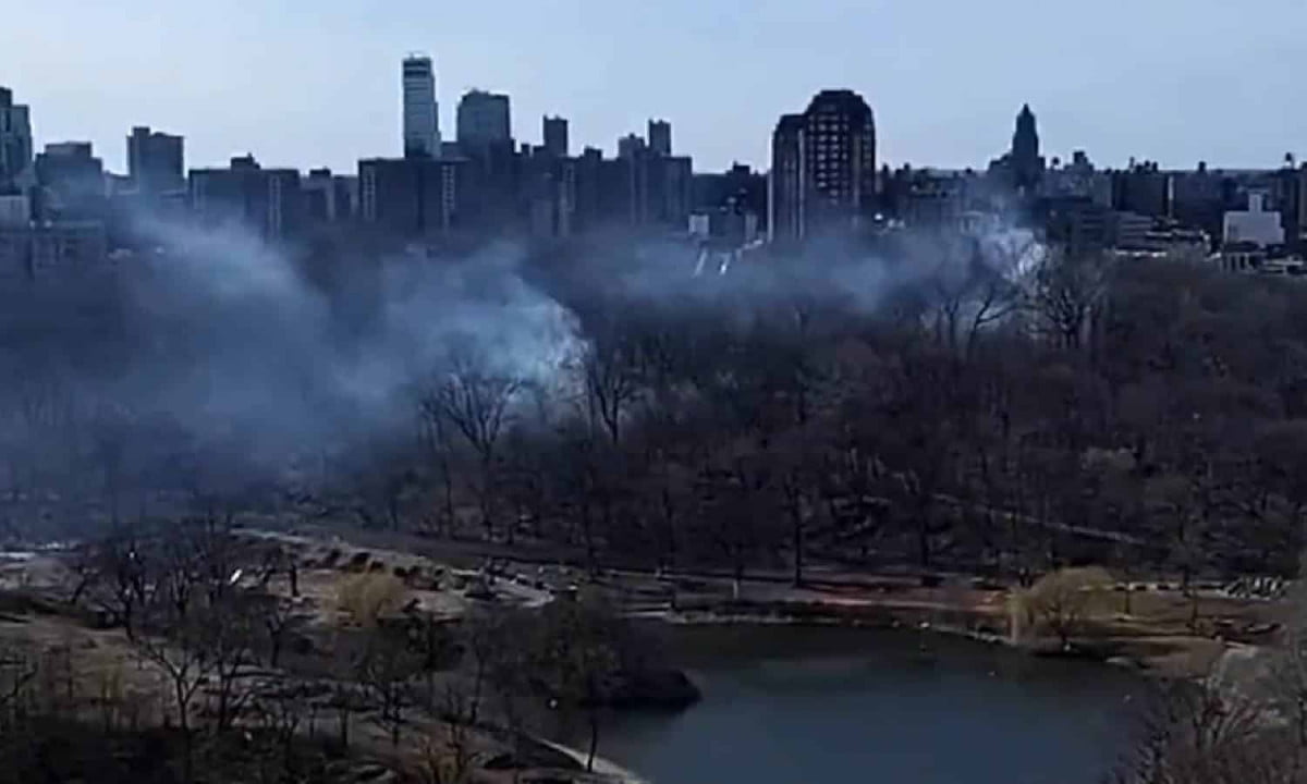 Se registran incendios en Central Park, Nueva York