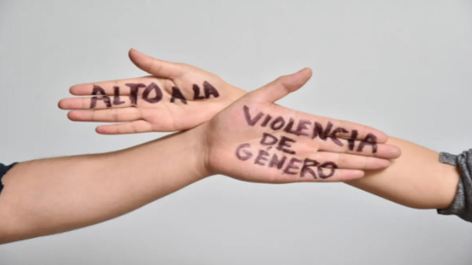 Lamenta PVEM que siga violencia de género en los partidos “grandes”