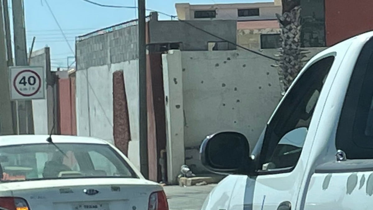 Sustituyen cristales de áreas federales alcanzadas por fuego de crimen organizado