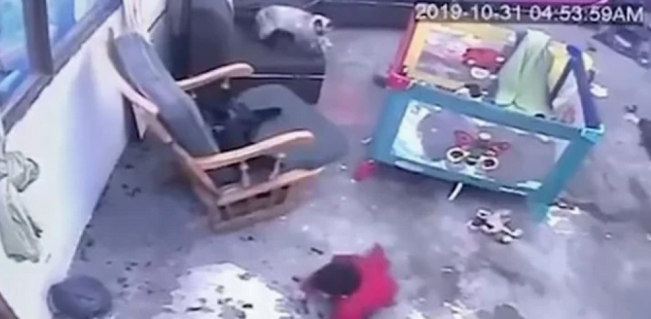 Bebé estaba a punto de caer en las escaleras, cuando… su gatito sale volando y lo salva 