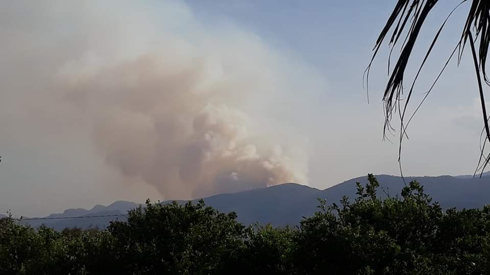 Otro incendio en la Sierra Madre, pero ahora en zona de Güémez