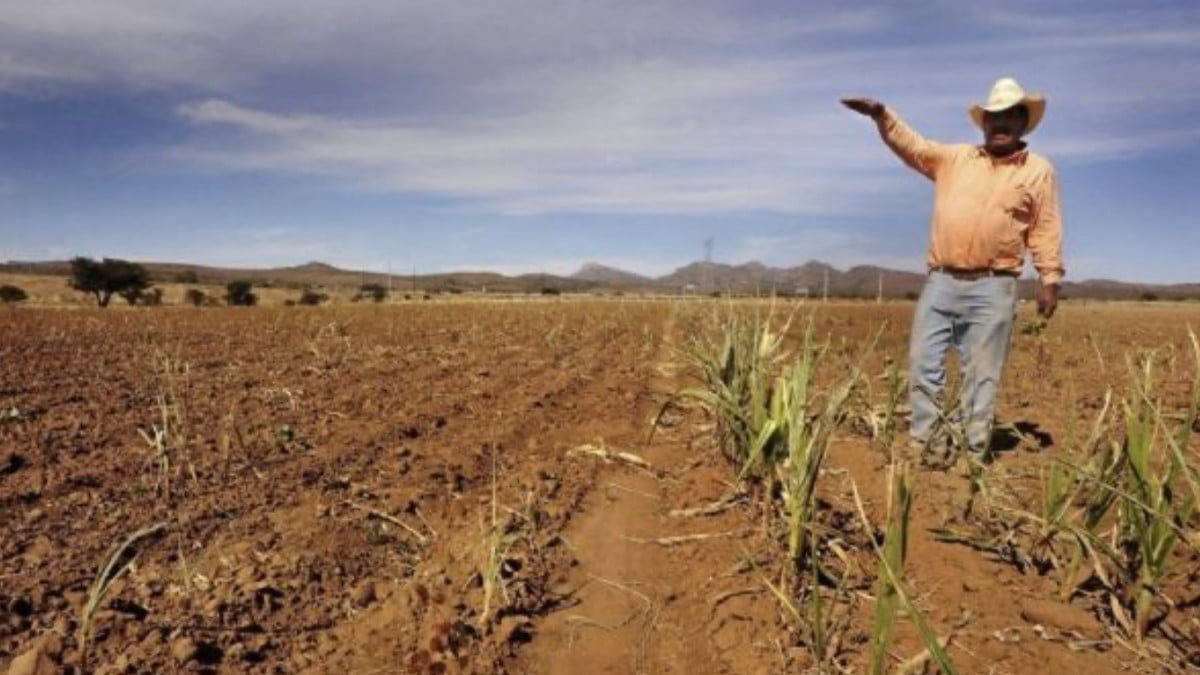 ¡Se extiende sequía en Tamaulipas! Prevén lluvias abundantes hasta junio