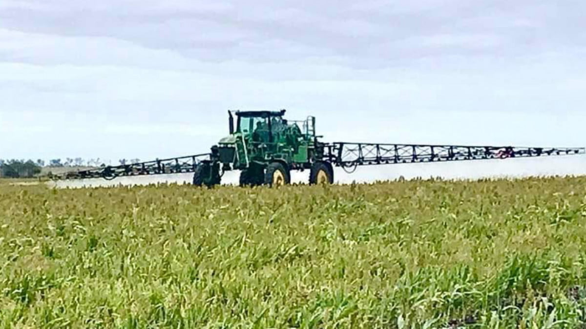 Por costos de fertilizantes, los precios de hortalizas en Altamira están por los “cielos”