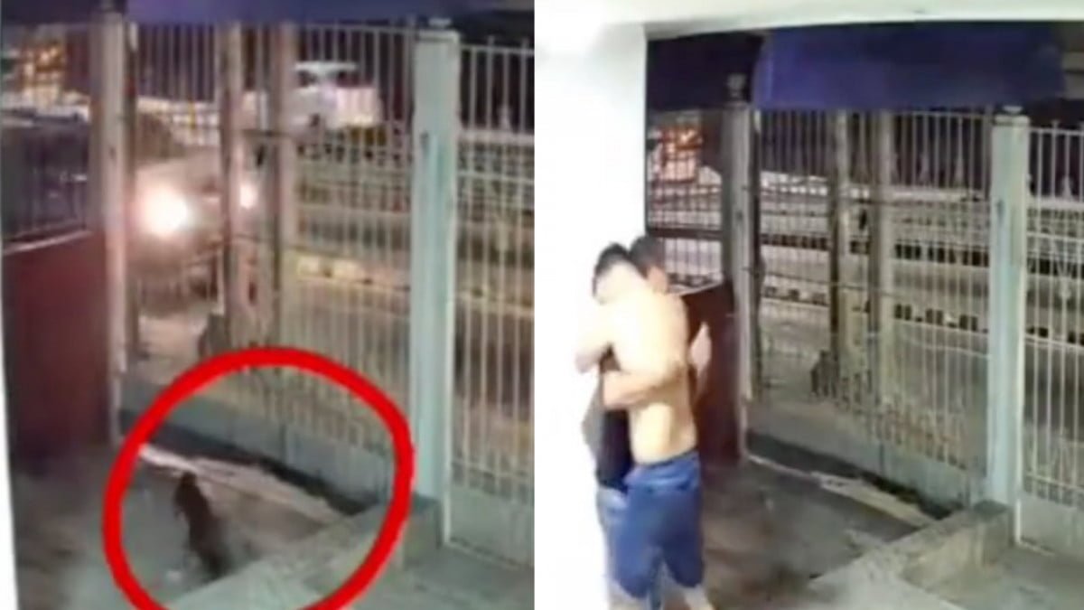 Entre gritos de alegría, familia se reencuentra con su perrito extraviado