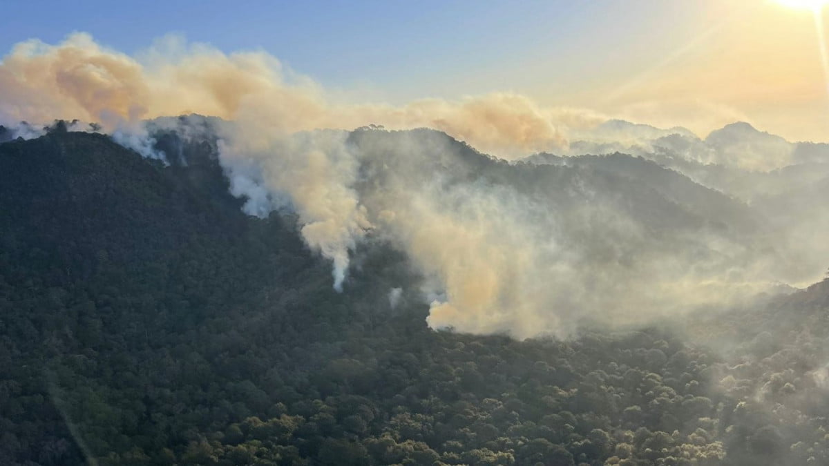 Se reportan 910 hectáreas afectadas por incendio en “El Cielo”, Tamaulipas 