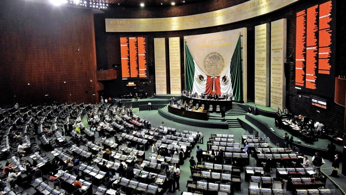 La Cámara de Diputados confirma eliminar hospitales psiquiátricos 