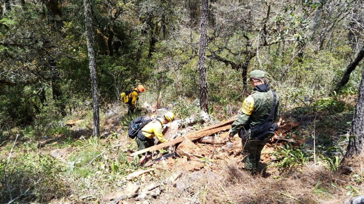 El incendio forestal de la biósfera “El Cielo” es controlado al 100%