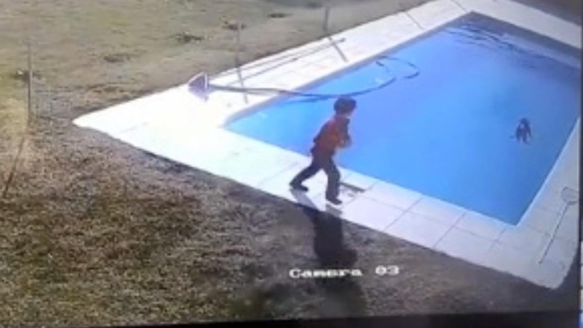 Niño salva a su mascota de morir ahogado en una alberca