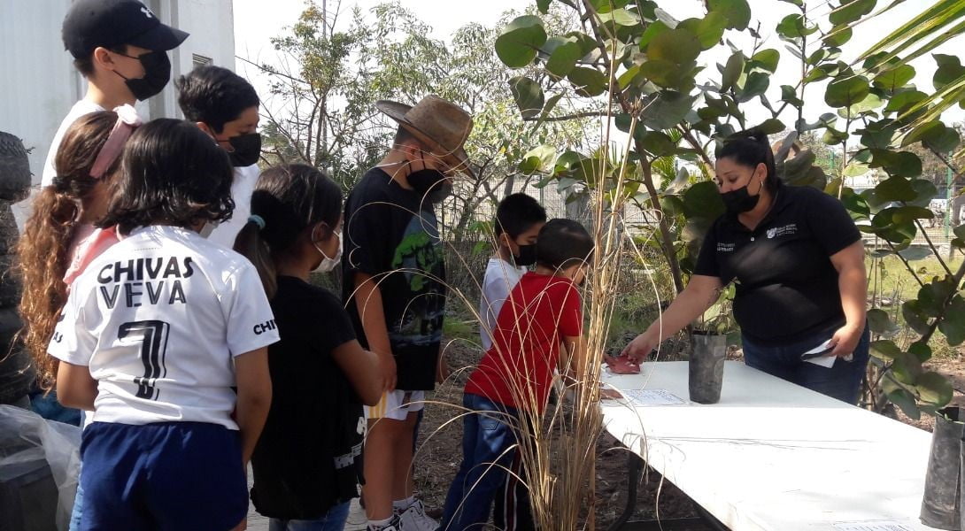 Fomentan la Cultura del Cuidado de la Flora y la Fauna en la Niñez Maderense