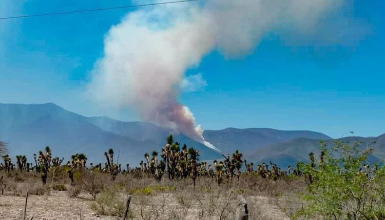 ¡Otro incendio forestal! Invade fuego a sierra de Jaumave