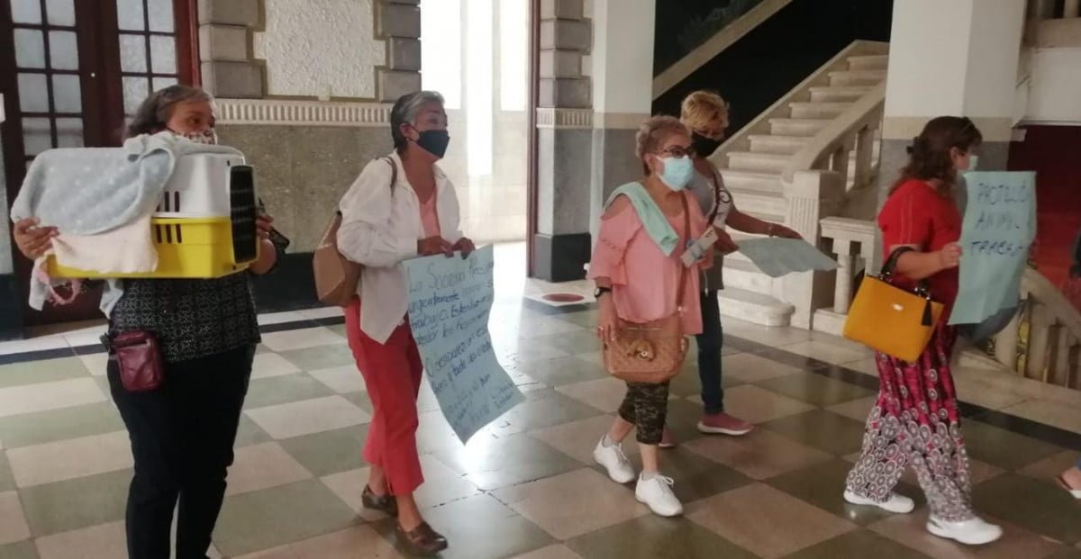 Animalistas protestan contra titular de Protección Animal en Tampico