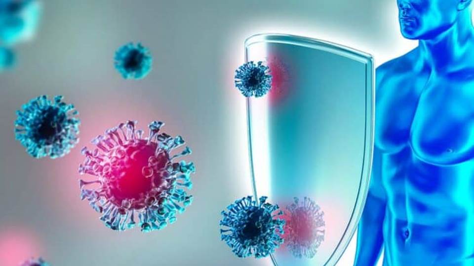 Desarrollan en México un suplemento para fortalecer el sistema inmunológico con tecnología japonesa