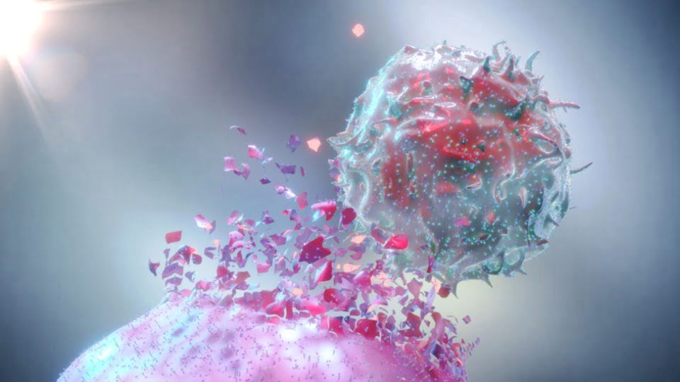Descubren anticuerpo MCLA-158 que previene la propagación del cáncer y la metástasis