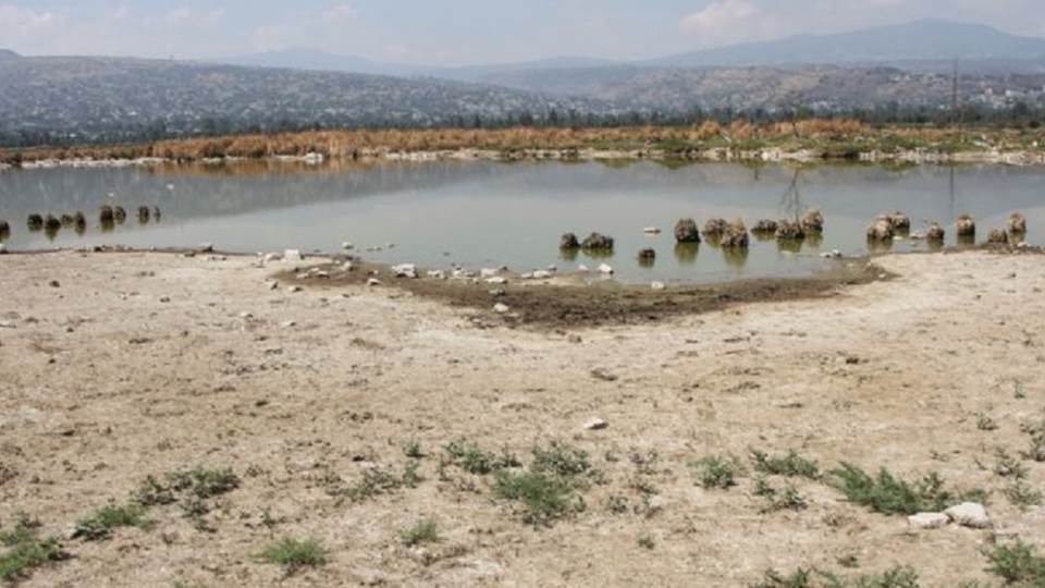 Cambio climático esta provocando una intensa sequía en Tamaulipas